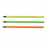 Bic Evo Fluo 940757 12'li HB Siyah Kurşun Kalem Seti