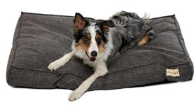 Pet Comfort Lima Yıkanabilir Tek Fonksiyonlu 90x60 cm Minder Kedi Yatağı Gri