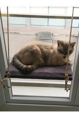 Patiderm Vantuzlu 35x50 cm Cama Yapışan Kedi Yatağı Gri