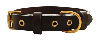 CecePet Tengri Ayarlanabilir Köpek Tasması 46 - 55 cm Kahverengi