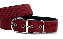 Doggie Elit Ayarlanabilir Boyun Köpek Tasması 4 x 52 x 60 cm Kırmızı