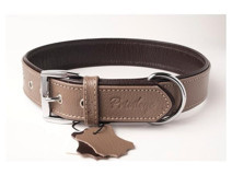 Privilege Ayarlanabilir Boyun Köpek Tasması 4 x 54 - 64 cm Kahverengi
