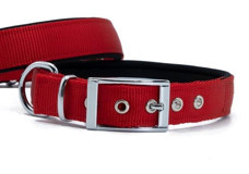 Doggie Elit Ayarlanabilir Boyun Köpek Tasması 2.5 x 37 x 45 cm Kırmızı