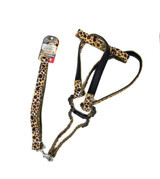 Eurodog Ayarlanabilir Göğüs Köpek Tasması 2.5 x 120 cm Çok Renkli