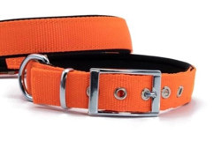 Doggie Elit Ayarlanabilir Boyun Köpek Tasması 2.5 x 42 - 50 cm Turuncu