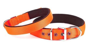 Doggie Comfort Ayarlanabilir Boyun Köpek Tasması 3 x 47 - 55 cm Turuncu