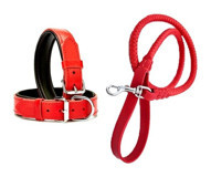 Desingshop Ayarlanabilir Köpek Tasması 90 cm Kırmızı