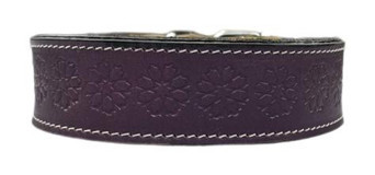 Lnleather Vaketa Ayarlanabilir Boyun Köpek Tasması Mor