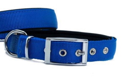 Doggie Elit Ayarlanabilir Boyun Köpek Tasması 2.5 x 37 - 45 cm Mavi