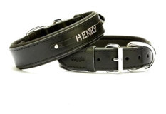 Doggie İsimli Ayarlanabilir Boyun Köpek Tasması 2 x 30 - 35 cm Siyah