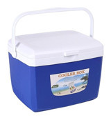 Sones 13 lt Mini Araç Buzdolabı