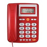 Pepisky IP 1 Ahize Ekranlı Telsiz Telefon