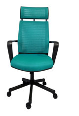 Gizmo Fk1401 Başlıklı Kolçaklı Dönerli Turkuaz Çalışma Sandalyesi