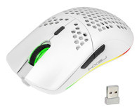 Hxsj T66 RGB Ergonomik Makrolu Kablosuz Beyaz Optik Gaming Mouse