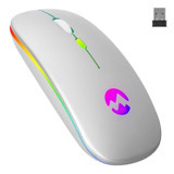 Everest SMW-710 RGB Kablosuz Gümüş Optik Mouse