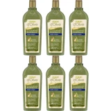 Dalan Doğal Zeytinyağlı Kepek Karşıtı Besleyici Şampuan 6x400 ml