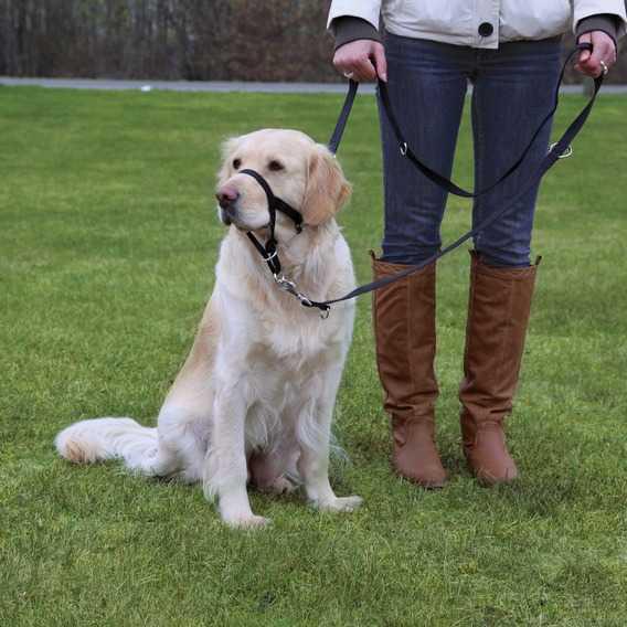 Trixie 46 cm Ayarlanabilir Ağızlık Eğitim Tasması Köpek Tasması Siyah