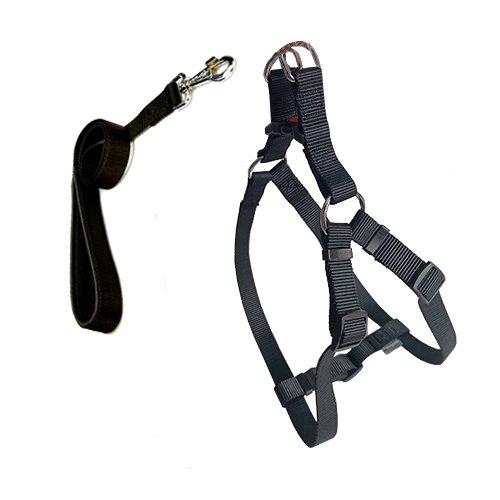 CecePet Cool Walk Harness Ayarlanabilir Göğüs Köpek Tasması Siyah