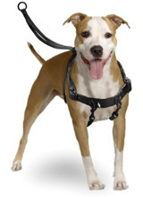 Karlie Easy Walker Ayarlanabilir M Göğüs Köpek Tasması Siyah