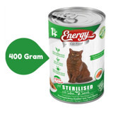 Energy Yetişkin Kısırlaştırılmış Somonlu Somonlu Yaş Kedi Maması 6x400 gr