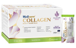 Wellcare Beauty Boost Plus Kolajen 30 Saşe