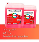 Wbrex Gül Bahçesi Yüzey Temizleyici 2x5 lt