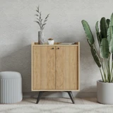 Fuho Seul 2 Kapaklı 4 Raflı Çok Amaçlı Dolap Çam 90 x 70 x 40 cm