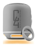 Powerway C4 Bluetooth Hoparlör Gümüş