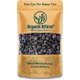 Organik Bitkim Organik Yaban Mersini 1 kg