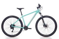 Bianchi MAGMA 29.1 29 Jant 24 Vites Dağ Bisikleti Yeşil