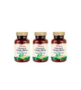 Balen Ginseng Ginkgo Biloba Yetişkin Vitamin 3x120 Adet Tablet
