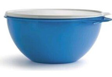 Tupperware 1 Parça Oval Plastik Saklama Kabı 4.5 lt
