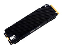 Twinmos NV2TBG42280 PCIE M2 2 TB m2 2280 SSD