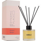 Bargello Dynamıc Place Karpuz - Mango Oda Kokusu, Koku Giderici 120 ml