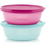 Tupperware 4'lü Plastik Saklama Kabı 2x600 ml