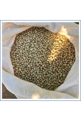 Sade Aile Yeşil Mercimek 500 gr