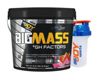 Bigjoy Sports Big Mass Gh Factors Çilek Aromalı 30 Servis Kas Yapıcı Karbonhidrat 3 kg Toz