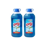 Camsil Cam Temizleyici Sıvı 2x2 lt