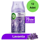 Air Wick Freshmatic Lavanta Oda Kokusu 12 x 250 ml