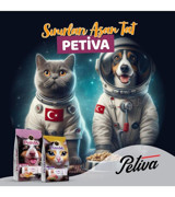 Petiva Balıklı Az Tahıllı Yetişkin Kuru Kedi Maması 15 kg