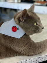 Kemique Uğur Böceği Fularlı Açık Mavi Gezdirme Boyun Kedi Tasması