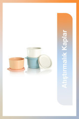 Tupperware Yuvarlak Plastik Saklama Kabı 3x250 ml