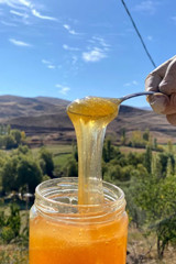 Köyden Gelsin Süzme Çiçek Balı 850 gr