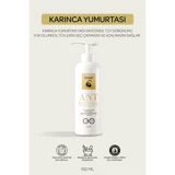 Ornate Karınca Yumurtası Yağlı Tüm Ciltler İçin Tüm Vücut Genital Bölge Unisex Tüy Dökücü Sprey 155 ml