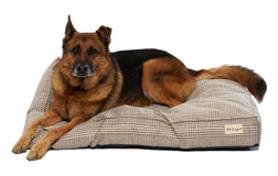 Pet Comfort Lima Yıkanabilir Büyük Irk İç Mekan Köpek Yatağı Bej