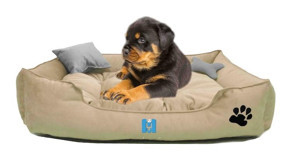 Mavi Vitrin Ultrasoft Yıkanabilir Küçük Irk İç Mekan Köpek Yatağı Krem