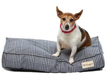 Pet Comfort Lima Yıkanabilir Küçük Irk İç Mekan Köpek Yatağı Lacivert