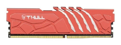 Thull Vortex THL-PCVTX4800D5-32G-R 32 GB DDR5 2x16 6000 MHz Ram