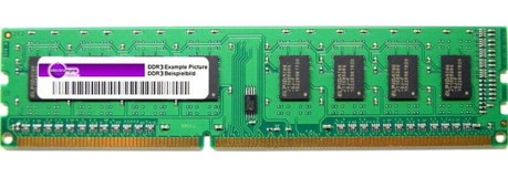 Micron MT18KSF1G72AZ-1G6E1ZE 8 GB DDR3 1x8 1600 MHz Ram