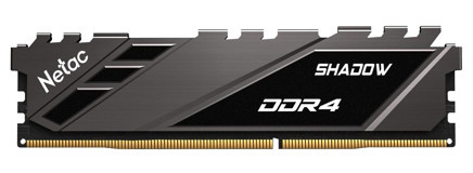 Netac Basic NTSDD4P32SP-08E 8 GB DDR4 1x8 3200 MHz Ram